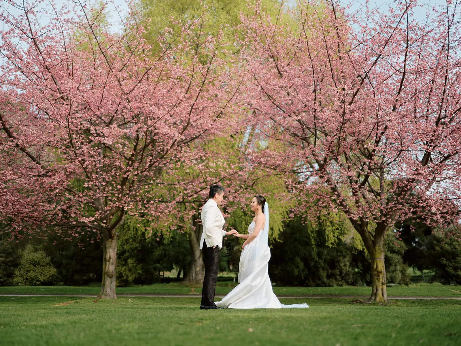 Kyoto Tokyo Japan Elopement Wedding Photographer, Planner & Videographer | A bride and groom stand facing each other under blooming cherry blossom trees in a grassy area, capturing the essence of an elopement wedding package in Furano, Hokkaido, Japan.